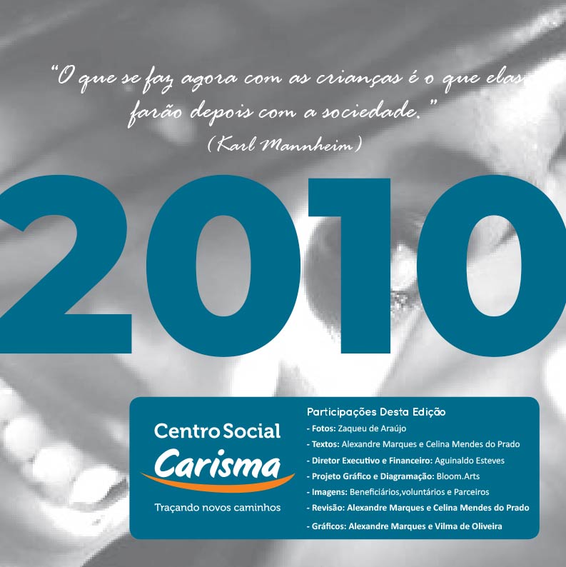 relatório anual 2010