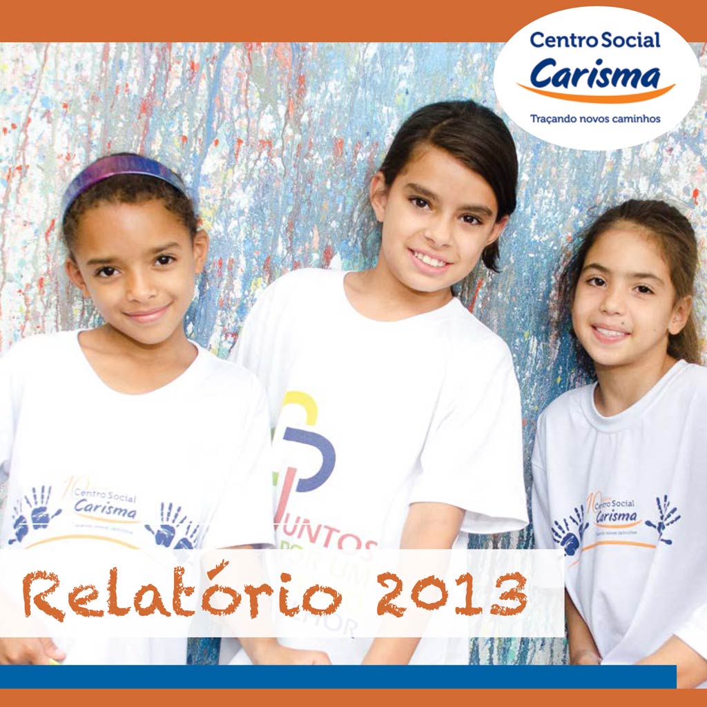 relatório anual 2013