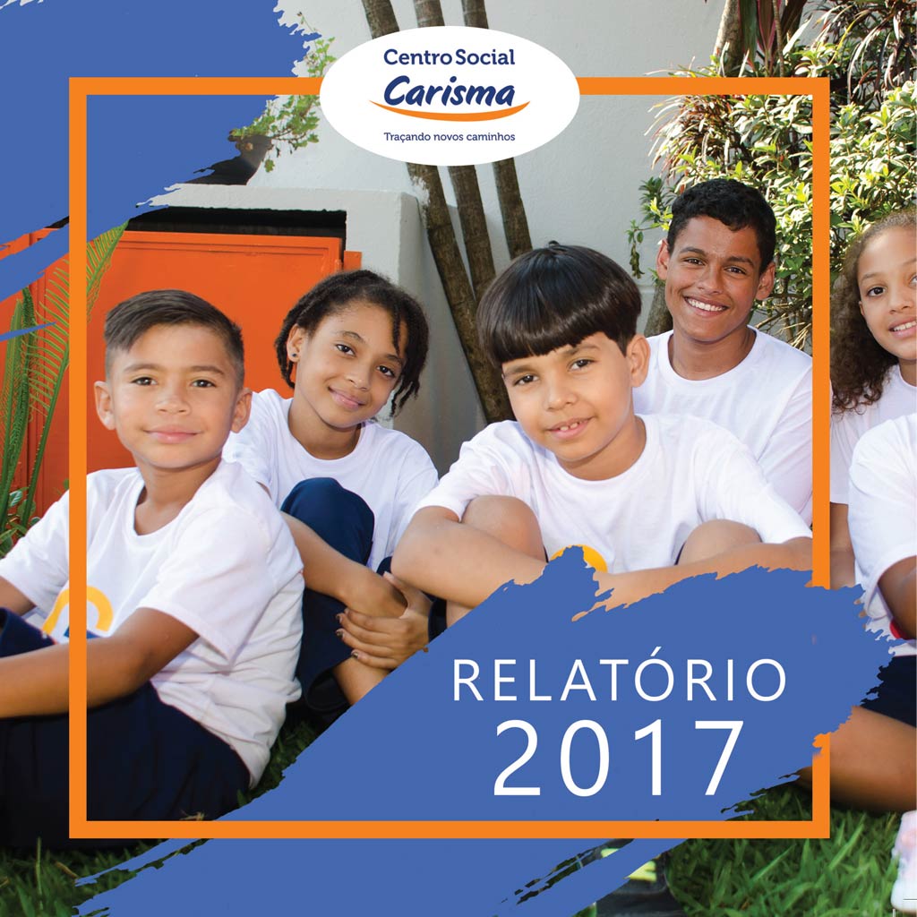 relatório anual 2017